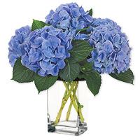 HydrangeaBouquets