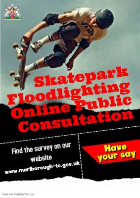 Skatepark-Online-Consutlation-Poster-12520