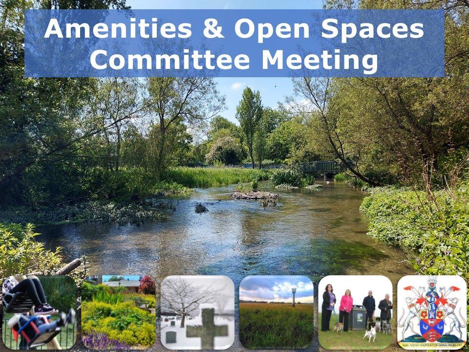 Meeting-Amenities-and-Open-Spaces-Committee