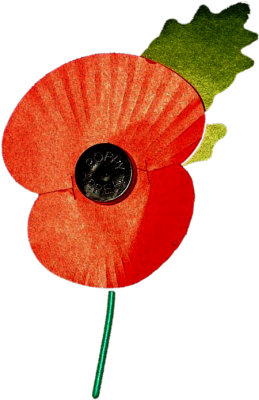an image of a paper poppy