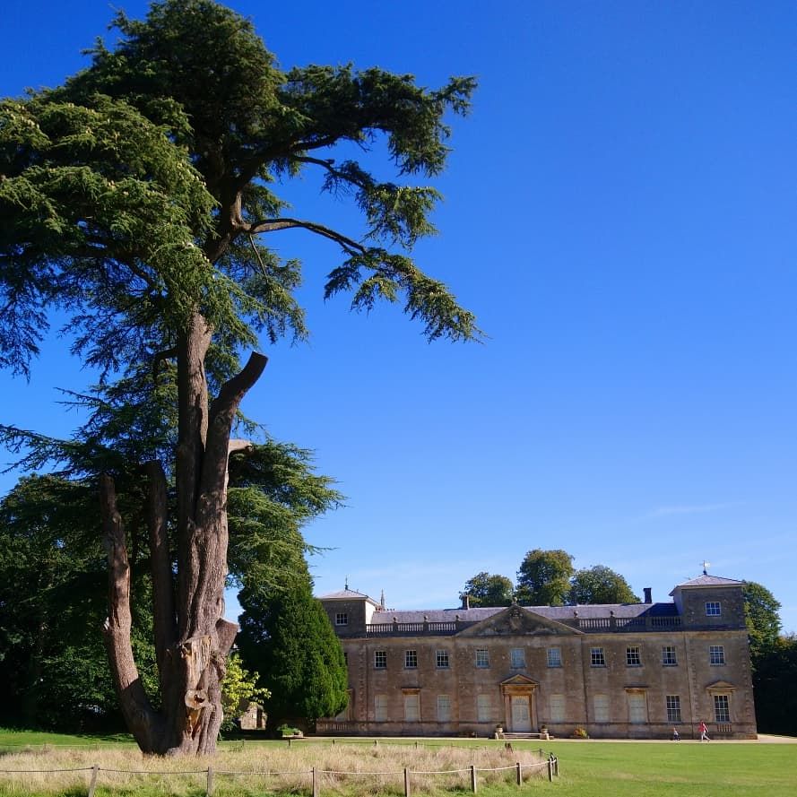 lydiard-house-dawn-pic