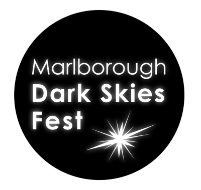 MDSF2019-Logo-12