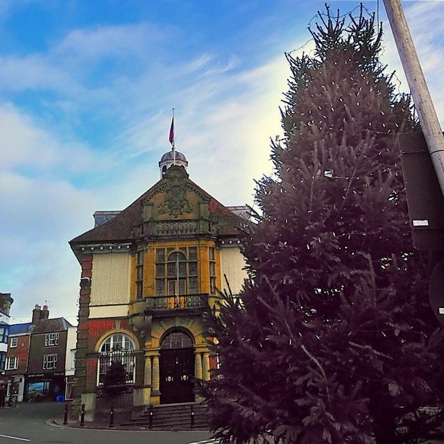 A street scene. An evergreen tree is on the right, in the foreground. Beneath a blue sky and behind the tree there is an imposing building.