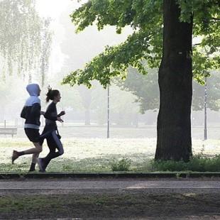 jog-crop