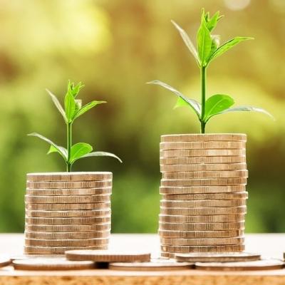 two piles of coins, one taller than the other. Both have green shoots growing at the top