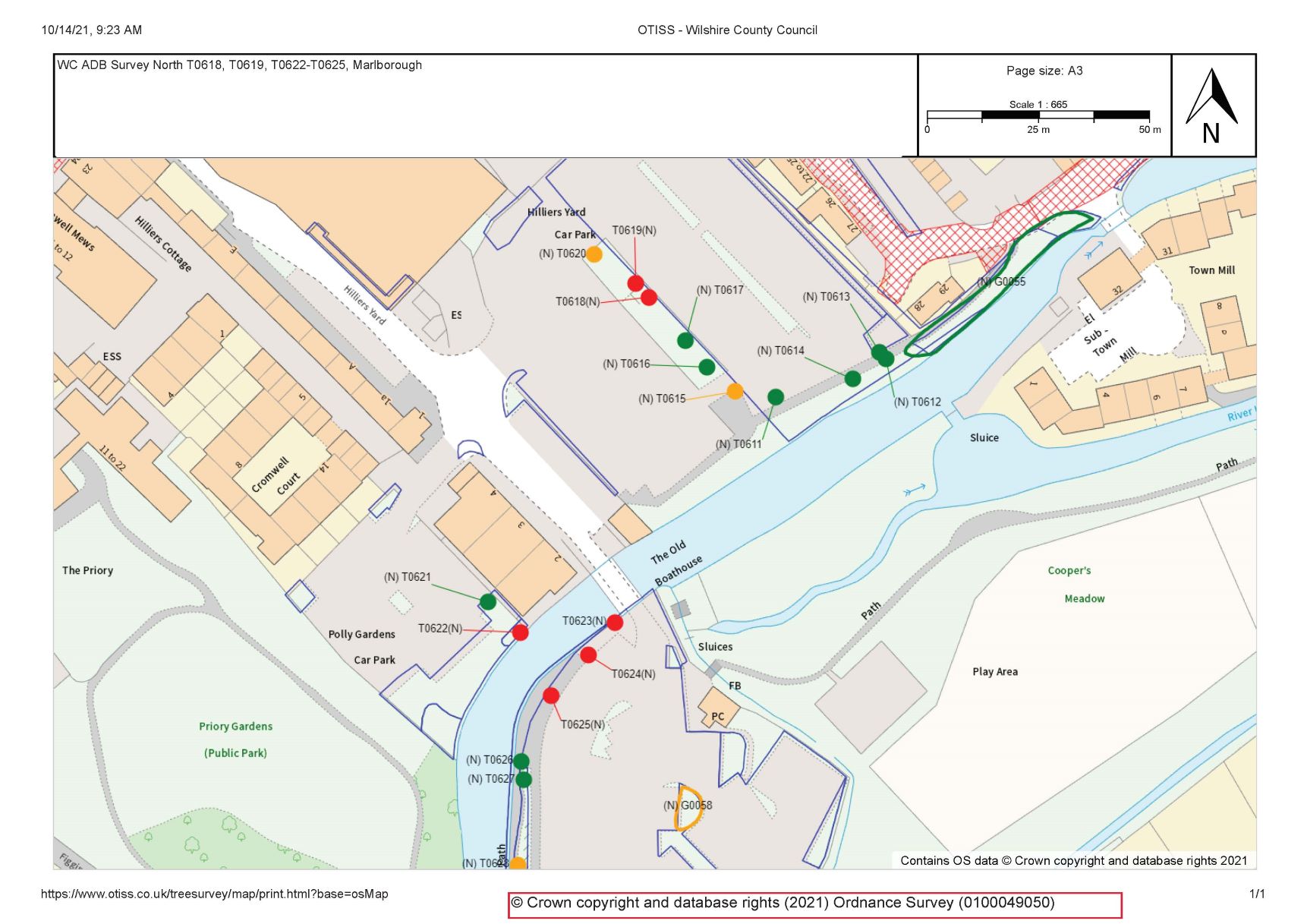 A map showing the town centre with circles in various colours to denote trees