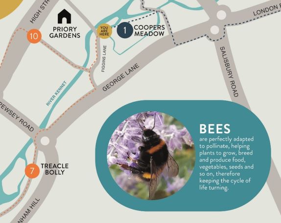 7-treacle-bolly map section