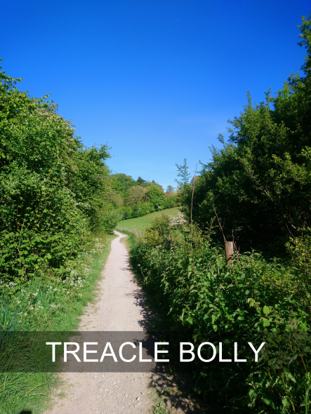7-treacle-bolly a footpath winds between wildflowers and hedges, with hills in the distance