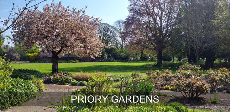 trees in blossom sit within a large open lawn with flower beds to the right