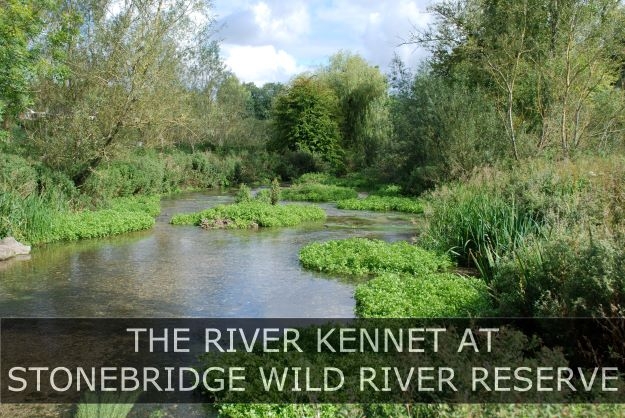 StonebridgeRiver1