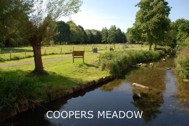 coopers-meadow