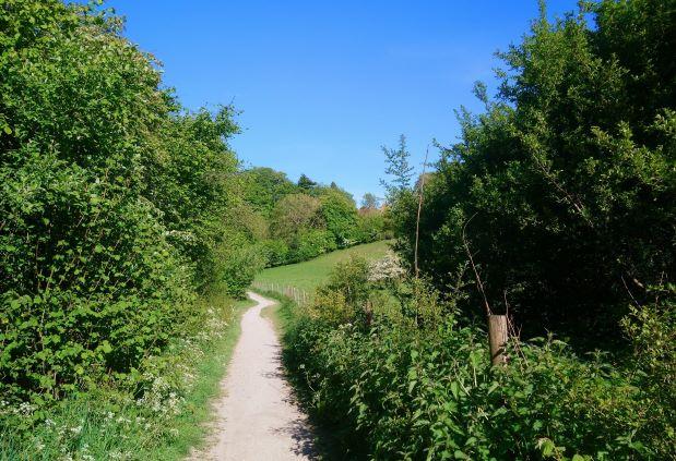 treacle-bolly-landscape