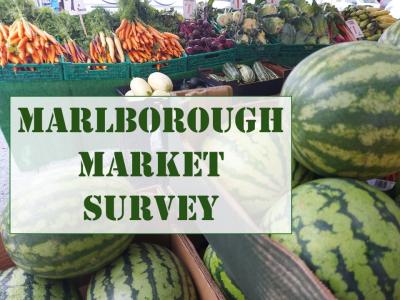survey-intro-image