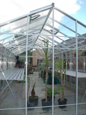 A long greenhouse with shelving and a few plants