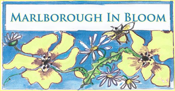 Marlborough in Bloom